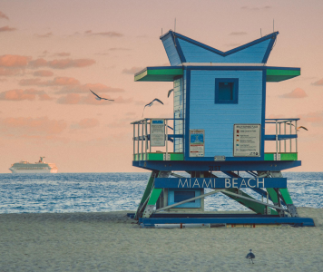 Bilan des Grands Prix de F1 en Asie et au Moyen-Orient : Piastri prend les commandes, cap sur Miami